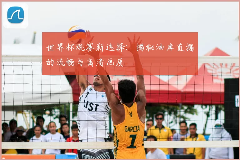 世界杯观赛新选择:揭秘油库直播的流畅与高清画质