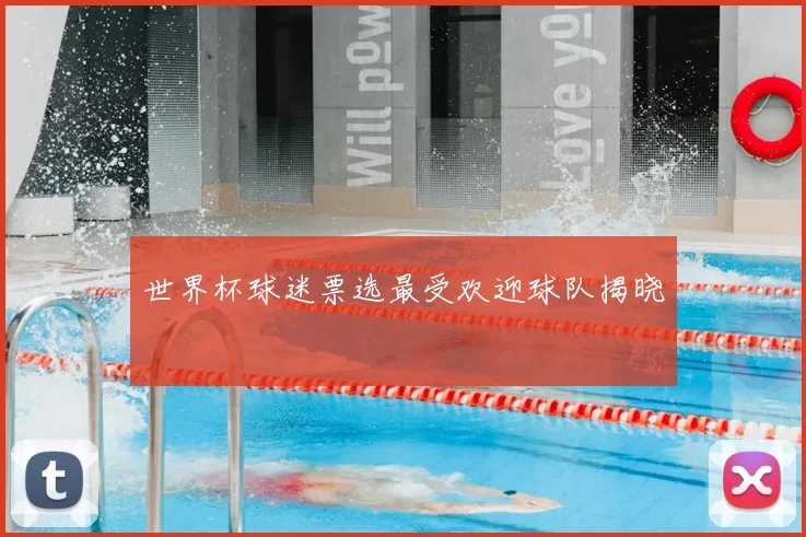 世界杯球迷票选最受欢迎球队揭晓