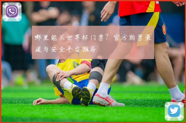 哪里能买世界杯门票?官方购票渠道与安全平台推荐