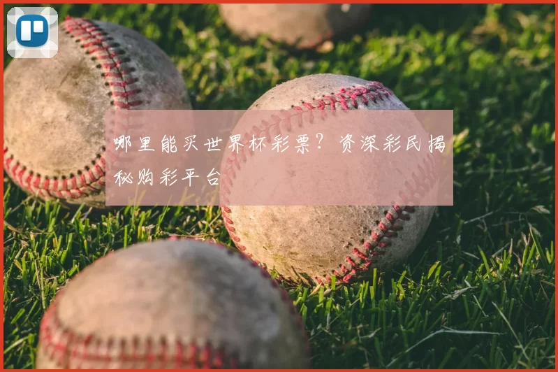 哪里能买世界杯彩票?资深彩民揭秘购彩平台