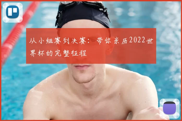从小组赛到决赛:带你亲历2022世界杯的完整征程