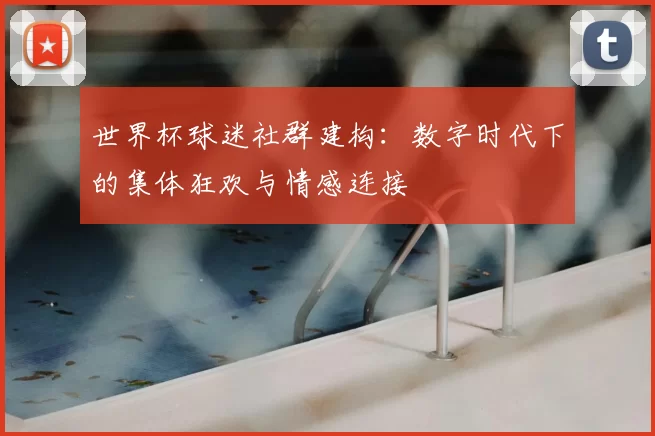 世界杯球迷社群建构:数字时代下的集体狂欢与情感连接