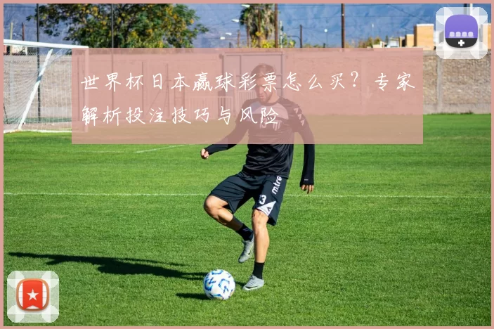 世界杯日本赢球彩票怎么买?专家解析投注技巧与风险