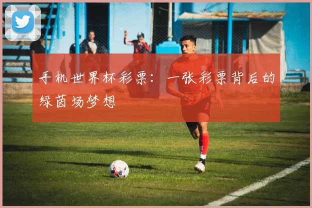 手机世界杯彩票:一张彩票背后的绿茵场梦想