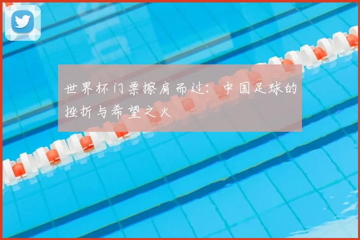 世界杯门票擦肩而过:中国足球的挫折与希望之火