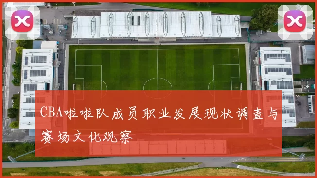 CBA啦啦队成员职业发展现状调查与赛场文化观察