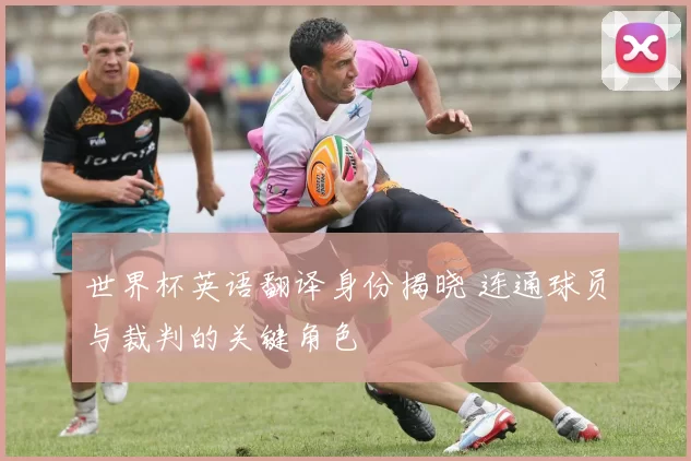 世界杯英语翻译身份揭晓 连通球员与裁判的关键角色