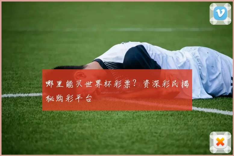 哪里能买世界杯彩票?资深彩民揭秘购彩平台
