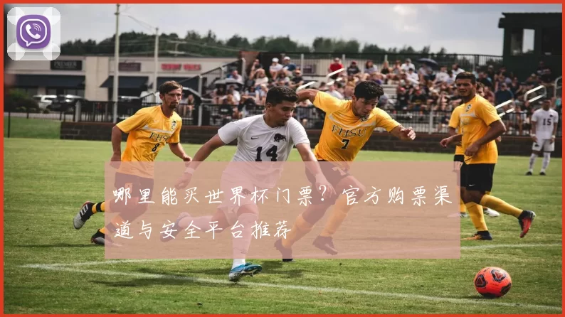 哪里能买世界杯门票?官方购票渠道与安全平台推荐