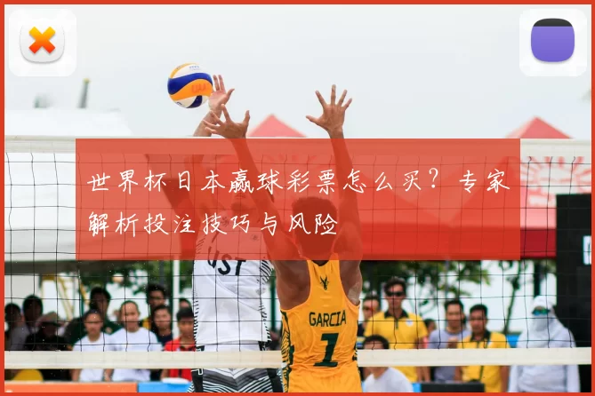 世界杯日本赢球彩票怎么买?专家解析投注技巧与风险