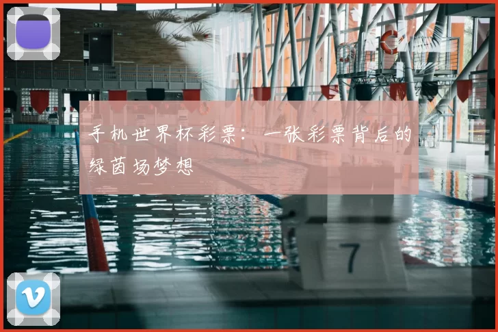 手机世界杯彩票:一张彩票背后的绿茵场梦想