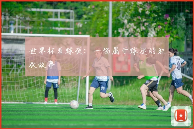 世界杯看球夜:一场属于球迷的狂欢故事