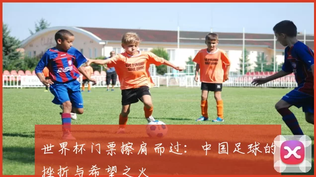 世界杯门票擦肩而过：中国足球的挫折与希望之火